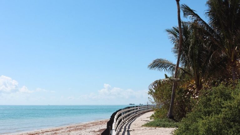 Sunny beach with palm trees, winter sun destination