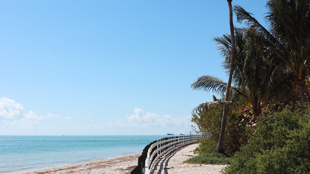 Sunny beach with palm trees, winter sun destination