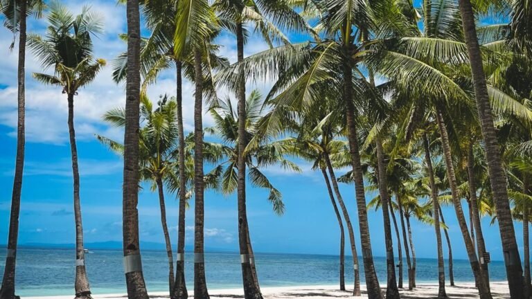 Best Holiday Destinations