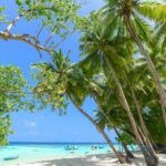 Best winter sun destinations: tropical beach with palm trees and turquoise water